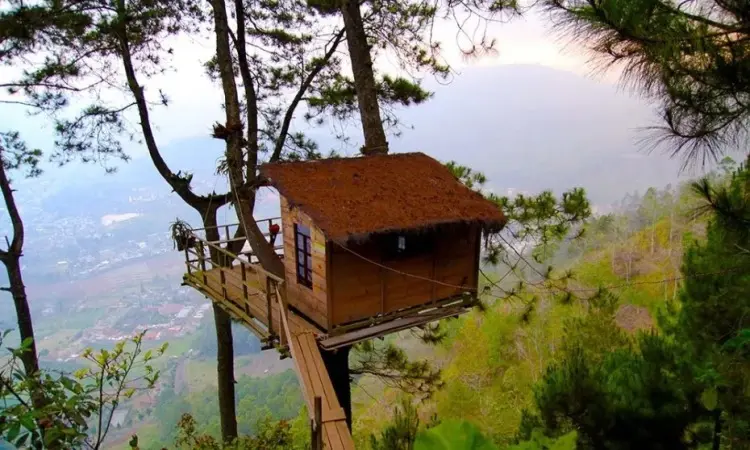 Omah Kayu Malang: Pengalaman Menginap yang Unik di Tengah Hutan