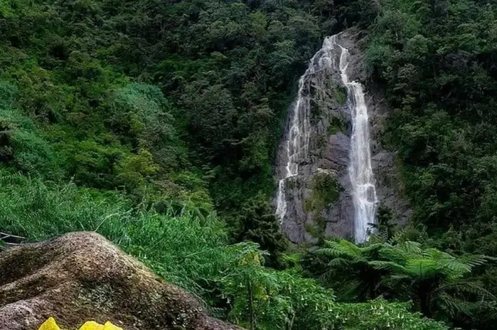 Curug Lawe, Pesona Air Terjun Indah di Temanggung