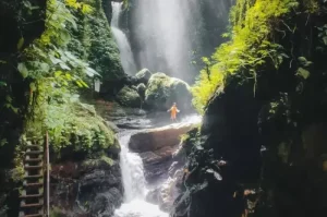 Curug Walet, Air Terjun Tersembunyi dengan Keindahan Alam Memukau di Bogor